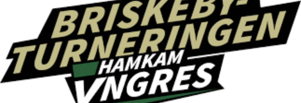 Briskebyturnering i idrettsparken (utleie)